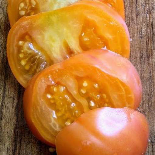 Oaxacan Jewel Beefsteak Tomato