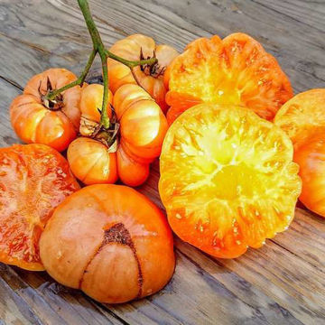 Orange Fleshed Purple Smudge Beefsteak Tomato Orange Fleshed Purple Smudge Beefsteak Tomato