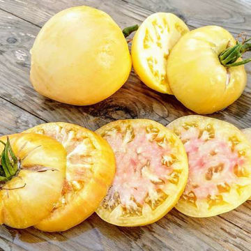 Oxheart White Beefsteak Tomato Oxheart White Beefsteak Tomato