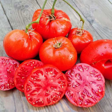 Palestinian Beefsteak Tomato Palestinian Beefsteak Tomato