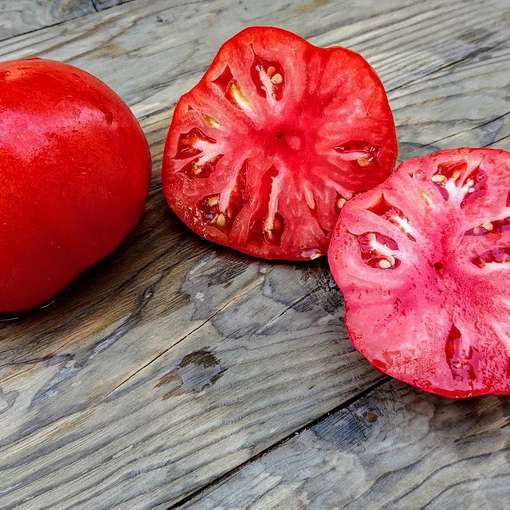 Paul Robeson Beefsteak Tomato