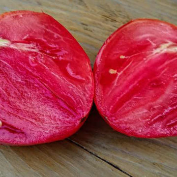 Rozovyi Med Beefsteak Tomato Rozovyi Med Beefsteak Tomato