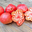 Sibirskiy Velikan Rozovyi Beefsteak Tomato