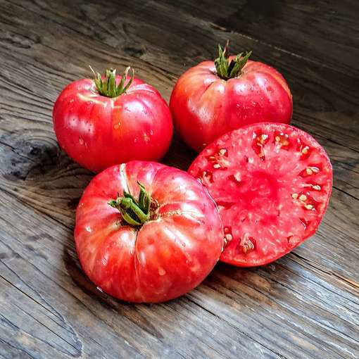 Soldaki Beefsteak Tomato