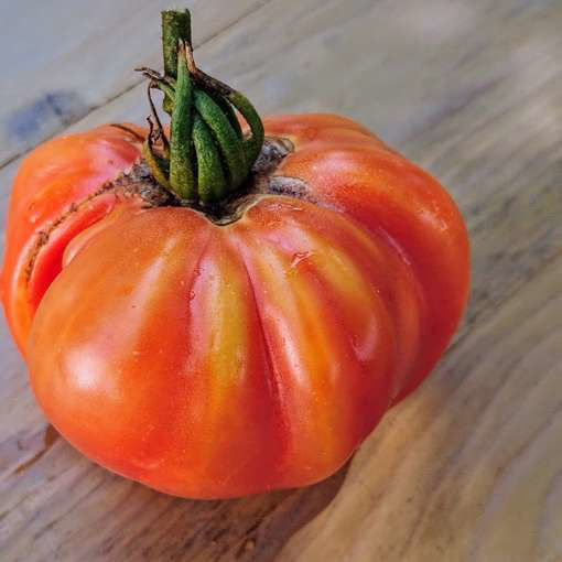Tuxhorns Red and Yellow Beefsteak Tomato