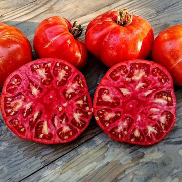 Ukrainskiy Velikan Beefsteak Tomato Ukrainskiy Velikan Beefsteak Tomato