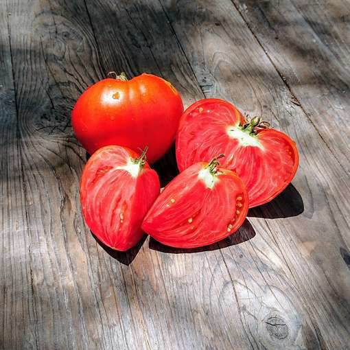 Vater Rhein Beefsteak Tomato