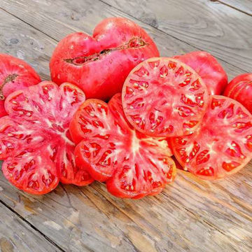 Watermelon Beefsteak Beefsteak Tomato Watermelon Beefsteak Beefsteak Tomato