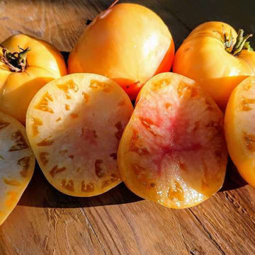 White Queen Beefsteak Tomato White Queen Beefsteak Tomato
