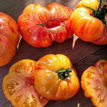 Yellow Striped Boar Beefsteak Tomato Yellow Striped Boar Beefsteak Tomato