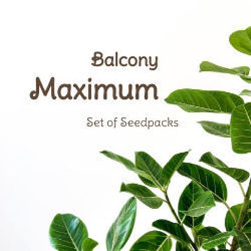 Show details for Balcony Maximum Picture of Balcony Maximum