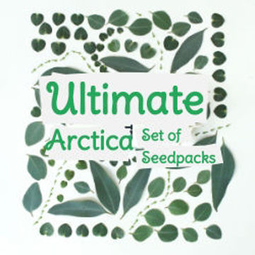 Show details for Ultimate Arctica Picture of Ultimate Arctica