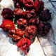 Carolina Reaper Chocolate Chili Pepper Carolina Reaper Chocolate Chili Pepper