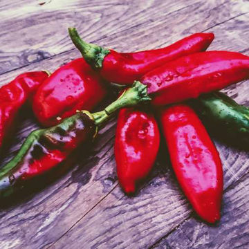 Rubiero Sweet Pepper Rubiero Sweet Pepper