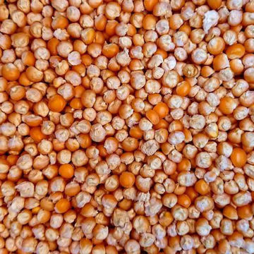 Tom Thumb Popcorn Tom Thumb Popcorn