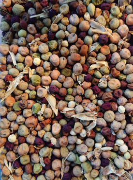 Show products in category Peas Picture for category Peas