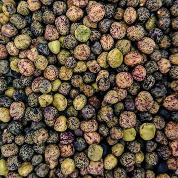 Hälsinge Grey Pea Hälsinge Grey Pea