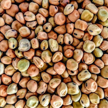 Solberga Grey Pea Solberga Grey Pea