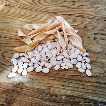 Alabama Blackeyed Butter Pole Bean Alabama Blackeyed Butter Pole Bean