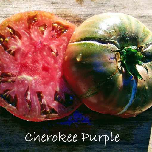 Cherokee Purple Beefsteak Tomato