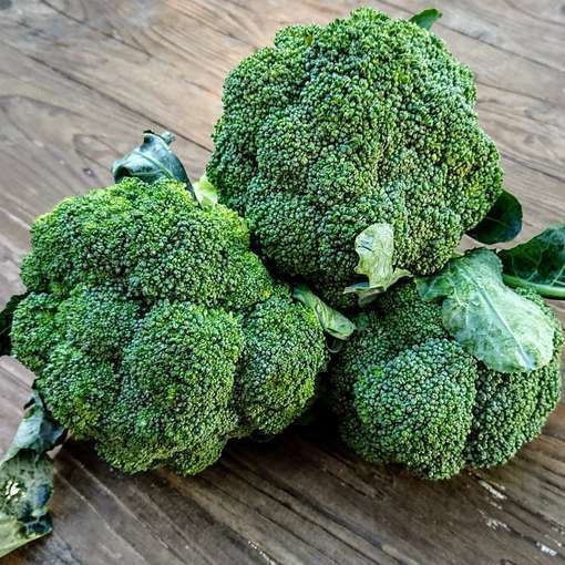 Ramoso Calabrese Broccoli