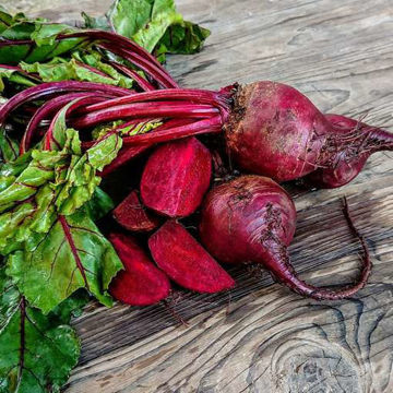 Beetroot Detroit 2 Beetroot Detroit 2