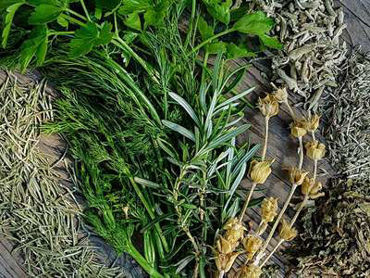Show products in category Herbs Picture for category Herbs