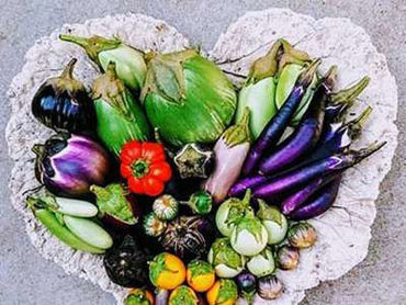 Show products in category Aubergine Picture for category Aubergine