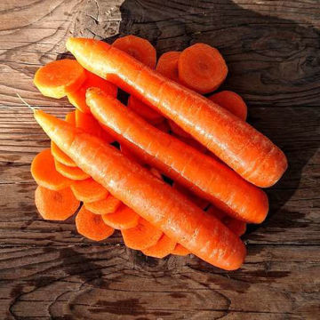 Nantes Carrot Nantes Carrot