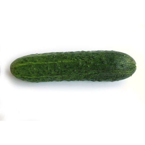 Beth Alpha Cucumber