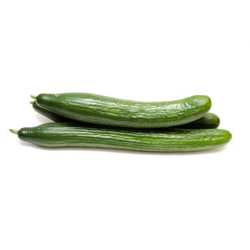 Telegraph Improved Cucumber Telegraph Improved Cucumber
