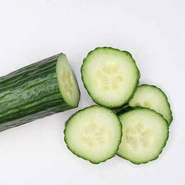 Vert Long Maraicher Cucumber Vert Long Maraicher Cucumber