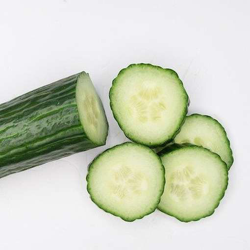 Vert Long Maraicher Cucumber