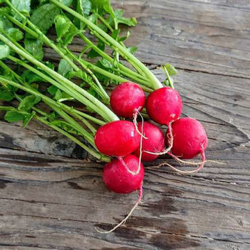 Radish Saxa 3 Radish Saxa 3