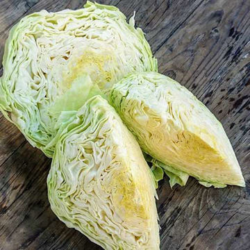 Brunswick Cabbage Brunswick Cabbage