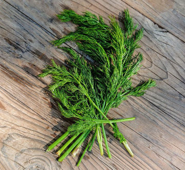 Dill Comune Dill Comune