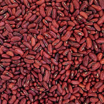 Yard Long Bean  Yard Long Bean
