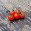 Delice de Neuilly Tomato
