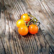 Gold Pearl Tomato Seeds