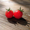 Rosy Finch Tomato Seeds