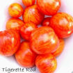 Tigret Red Tomato Seeds