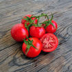 Alaskan Fancy Tomato Seeds