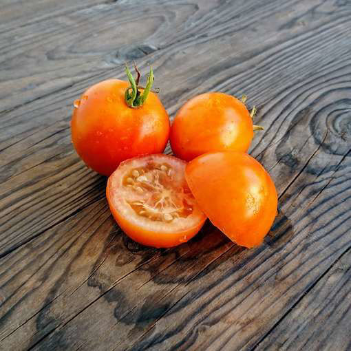 Ida Gold Tomato Seeds