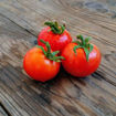 Jani Tomato Seeds