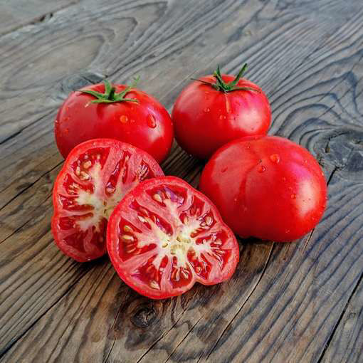Orlovskie Rysaki Bush Tomato
