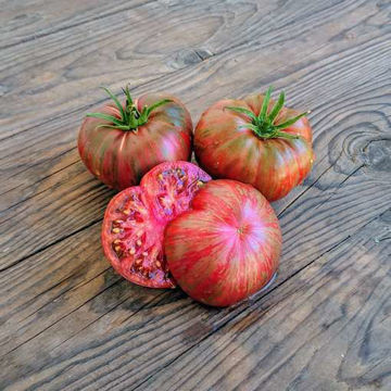 Join or Die x Beyond Verde Claro Dwarf Tomato Join or Die x Beyond Verde Claro Dwarf Tomato