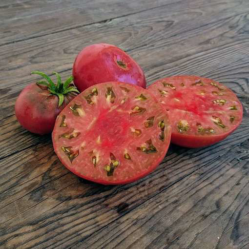 Mulatka Dwarf Tomato