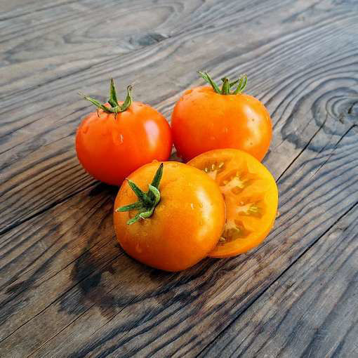 Orange Pixie Dwarf Tomato Seeds