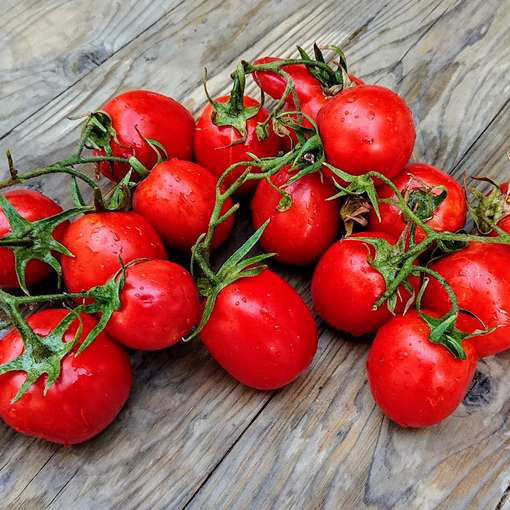 Health Kick TomatoMeraki Seeds