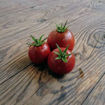 Aussie Drop Dwarf Tomato Project
